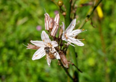 Natura Matera