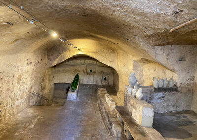 MuDeSca – Museo dello scavo