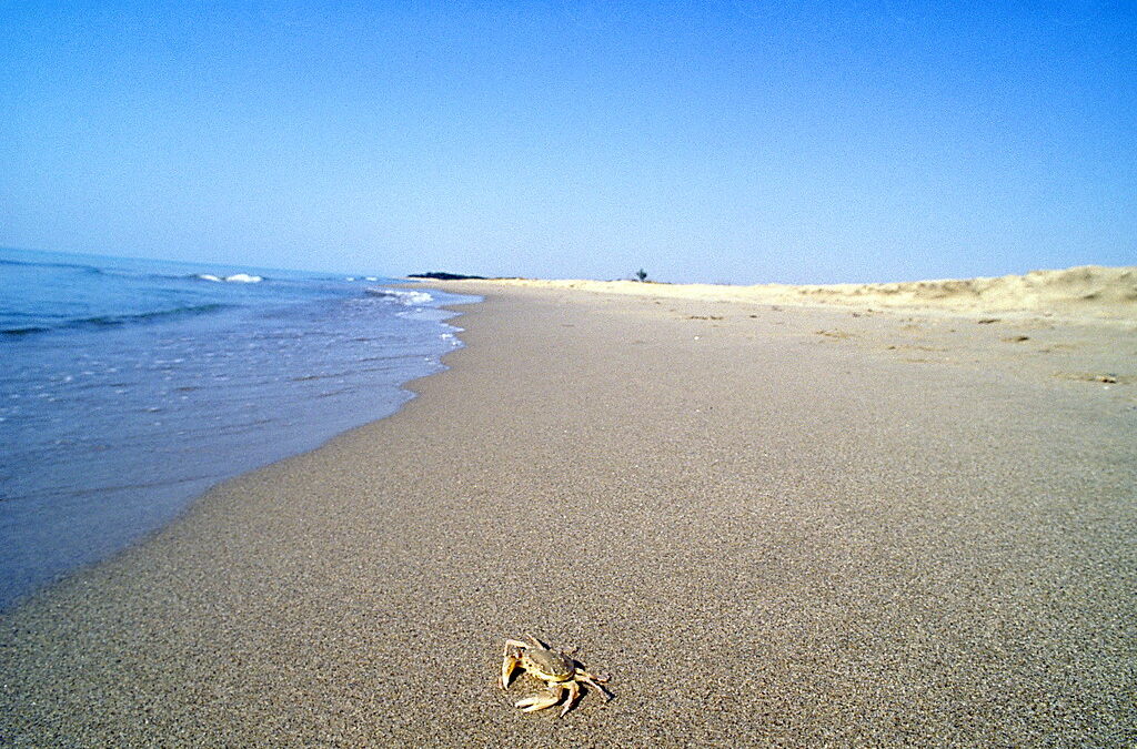 Da Matera al Mare