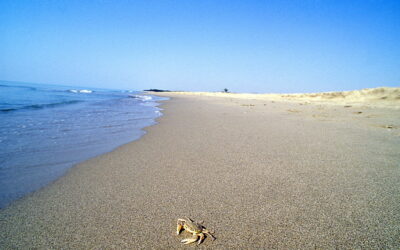 Da Matera al Mare