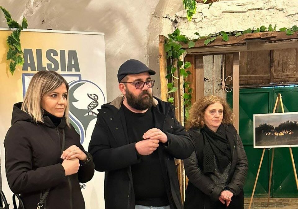 Sedici oli lucani di eccellenza alla XIX edizione del premio “Olivarum”