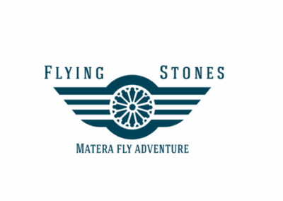 Flying Stones
